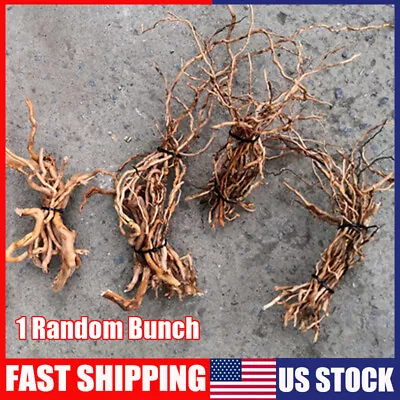 $9.99 • Buy Natural Driftwood Root Trunk Tree Aquarium Fish Tank Landscaping Decor Supplies