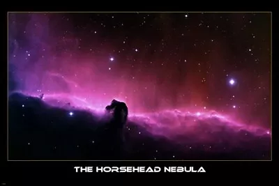 THE HORSEHEAD NEBULA POSTER 20x30 Cosmos Outer Space BEAUTIFUL LIGHT RARE • $9.99