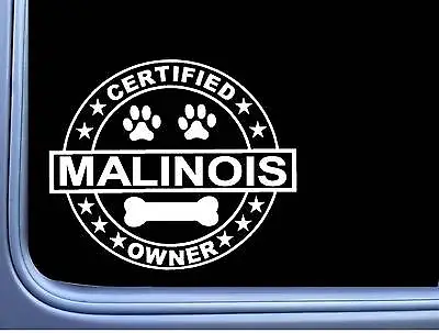 Certified Belgian Malinois L261 Dog Sticker 6  Decal • $4.24