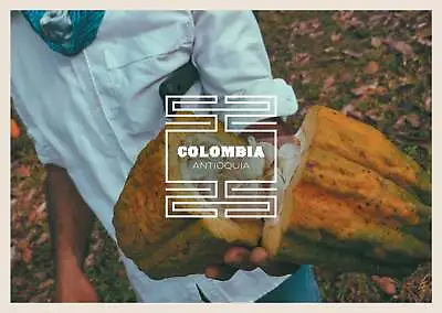 Colombia Antioquia Cacao Cocoa Beans • £15