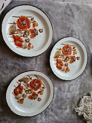 Stonehenge Midwinter Plates • £20