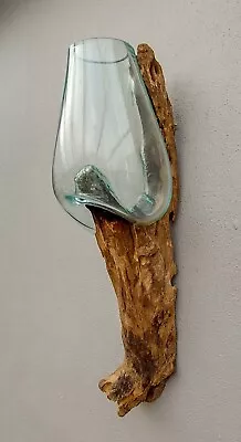 Large Melted Hanging Glass Vase Bowl On Root Wood Unusual Functional 3D Wall Art • £39.99