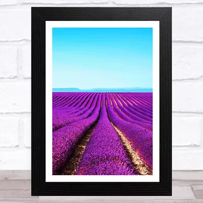 Lavender Fields Collection Design 2 Home Wall Art Print • £8.29