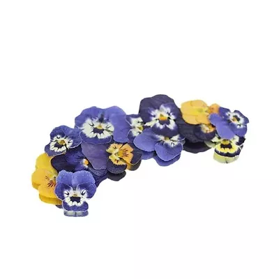 Edible Flowers Pressed Mini Viola Cake Topper Decorations • £6.99