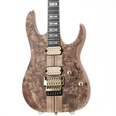 Ibanez / Rgt1220Pb Antique Brown Stained Flat • $1589.45