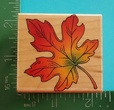 MAPLE LEAF Rubber Stamp By Hero Arts E1132 Tree • $3.96