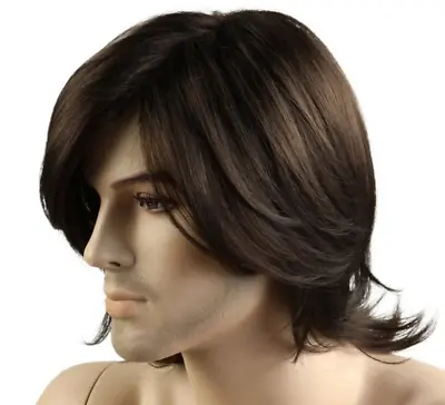 Men's Man Wig Natural Hair Short Black Brown Cosplay Anime Christmas Wigs • $13.99