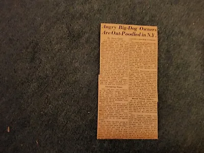 Xm37  Ephemera 1961 Article Westminster Kennel Club Dog Show New York  • £2.65