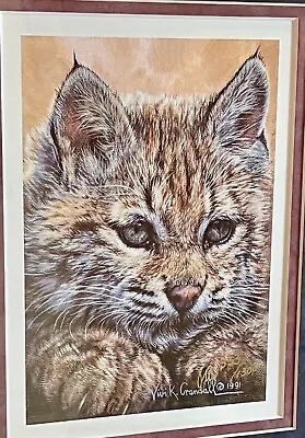 Vivi Crandal Bobcat  Baby Blues Matted Framed Signed Numbered 10.5” X 12” Mint • $155.52