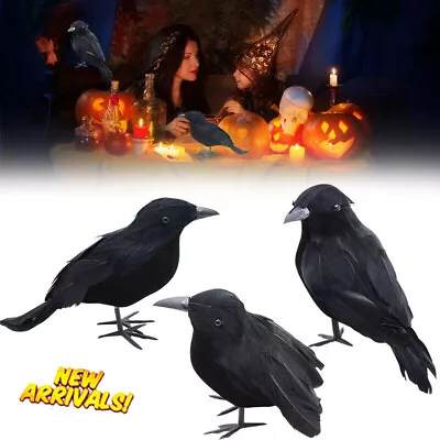 3/6PCS Black Lifesize Raven Movie Prop Fake Crow Halloween Hunting Decor Birds • £3.16