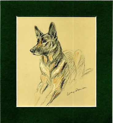 Lucy Dawson ~ German Shepherd / Alsatian  ~  Colour Print Genuine Vintage 1936 • $9.94