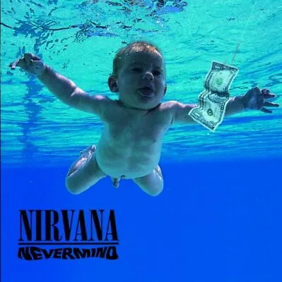 Nirvana - Nevermind [VINYL] • £27.31