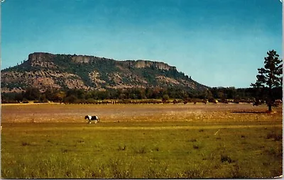 Table Rock Rogue River Valley Pacific Hwy Medford Oregon OR Postcard UNP VTG • $2.75