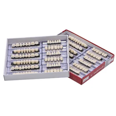 168pcs Acrylic Resin A1/A2/A3 Dental Denture Teeth Upper Lower Shade 22#/23#/24# • $12.32