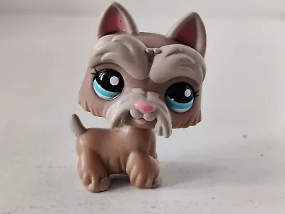 2006 Hasbro LPS Littlest Pet Shop Caramel Scottie Dog #1260 Free Shipping • £10.99