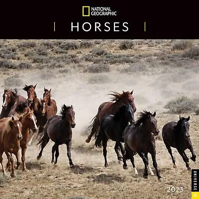 $15.95 • Buy Horses - National Geographic - 2023 Wall Calendar - Brand New - 342553
