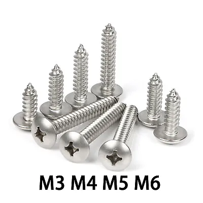 £1.66 • Buy 10x A2 Stainless Steel Phillips Pan Head Self Tapping Wood Screws M3 M4 M5 M6