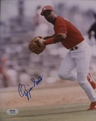 Ozzie Smith Signed 8x10 Color Photo THE WIZARD OF OZ! Cardinals BB HOFer PSA/DNA • $16.50