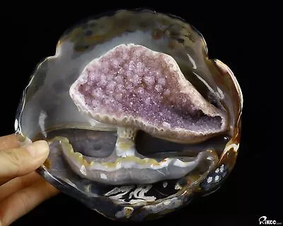 6.0  Amethyst & Agate Carved Crystal Mushroom Crystal Healing • $769