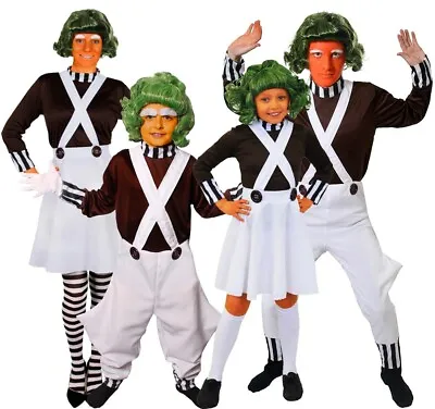 £12.99 • Buy Adult Or Child Factory Worker Costume World Book Day Fancy Dress Add Accessories