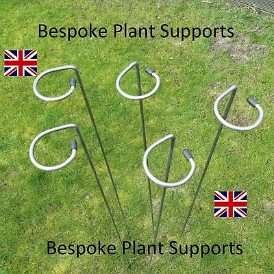 £1 • Buy Plant Supports/stakes.Metal 5 Pack In 60,80,100,130cm 6mm Mild Steel Made In UK