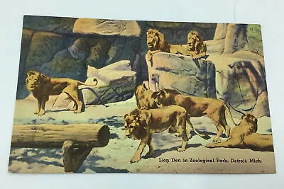 $4.50 • Buy Michigan MI Detroit Zoo Park Lion Den Postcard Old Vintage Card View Standard PC