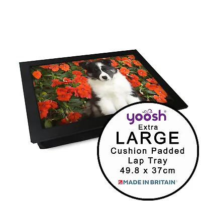 EXTRA LARGE Luxury Framed Laptop Tray Personalised Gift -Shetland Sheepdog Puppy • £28.95