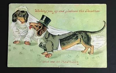 Dressed Dachshund Bride And Groom Wedding Teckel Old Dog PC 1908  PO Engelhard • $16.50