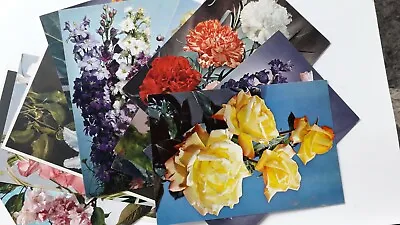 £1.99 • Buy Postcards Flowers Plants Trees And Gardens