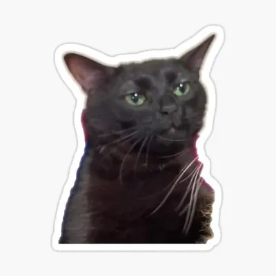 TikTok CAT STICKER Jdm Jap Slammed Drift Funny Meme Car Decal Holographic • $4.95