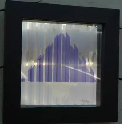 $495 • Buy Beautiful Early Yaacov Agam Screenprint In Acrylic With Shadowbox 5/75 AP