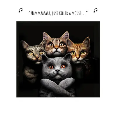 Bohemian Rhapsody Funny Cats Greeting Card Humorous Birthday Card For Cat Lovers • £4.19