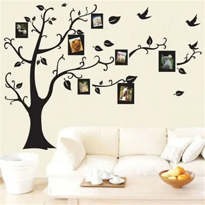 Huge Family Tree Wall Stickers Birds Photo Frames Art Decals Home Decor UK • £6.83