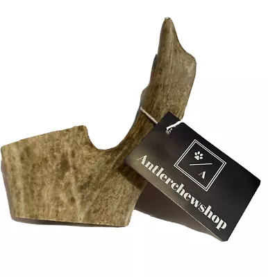 £6.50 • Buy Deer Antler Medium Fallow Dog Chew 80g~150g