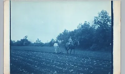 FARM FIELD HORSE PLOW C1910 Springfield Ma? Real Photo Postcard Rppc Cyanotype • $11.28