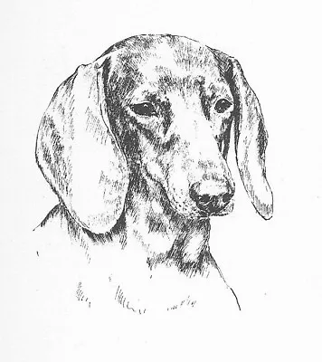 Dachshund #1 - CUSTOM MATTED - 1963 Vintage Dog Art Print 0507 CLD • $12.50