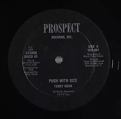 Terry Nova  Push With Size  Disco Funk Modern Soul 12  Prospect HEAR • $7.99