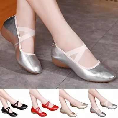 Lady Professional Slip On Flats Latin Soft Round Toe Dance Shoes Show Comfy • $38.21