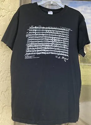 Wolfgang Mozart A Little Serenade Music Graphics T Shirt Size L (38) • $14.99