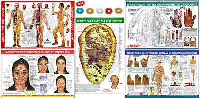 Auricology Ear Acupuncture Face Acu Cun Sujok Charts (Set Of 5) + 5 Rings • $15.99