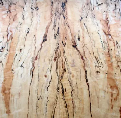 Curly Spalted Ink Line Maple Drop Top .35  Thk Guitar Bass Tonewood 2295 • $129.99