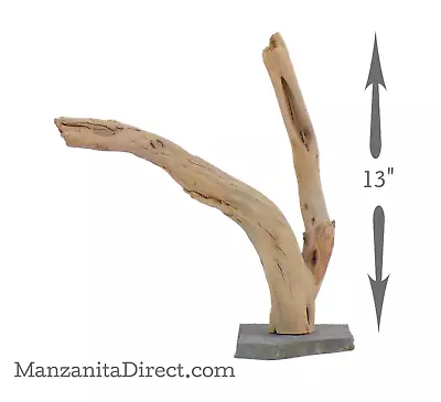 Large Manzanita Driftwood Stump Mounted To Slate For Aquarium & Reptile  1115-11 • $40