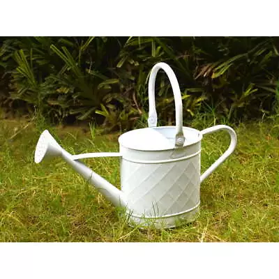 0.75 Gal Metal Watering Can Great Balance For Easy Watering Black Finish US • $12.79