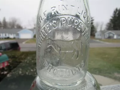 TREHP Milk Bottle White's Pure Milk Products Burlington VT CHITTENDEN CO Cow Pic • $24.99