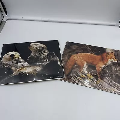 Lot Of 2 Vintage Wildlife Lithographs Inc Photos 1996 Otters 2001 Red Fox 8x10 • $14.99