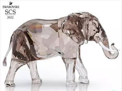 $399 • Buy Swarovski Elephant Zena Jubilee Edition 2022 MIB #5607667