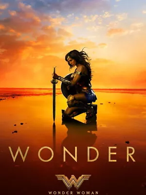 V7700 Wonder Woman Amazing Character Cool Movie Film Art WALL POSTER PRINT AU • $29.65