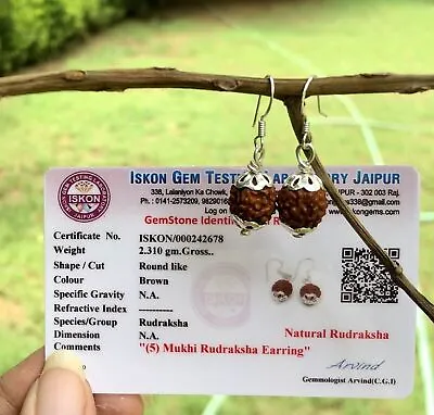 Lab Certified 925 Silver + 5 Mukhi RUDRAKSHA Panchmukhi Rudraksh 5 Face Earrings • $16.83