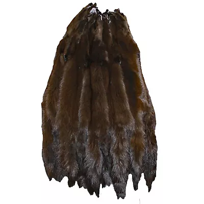 Glacier Wear Premium Label Russian Sable Pine Marten Fur Pelt Mahogany Sbl1005 • $199.95