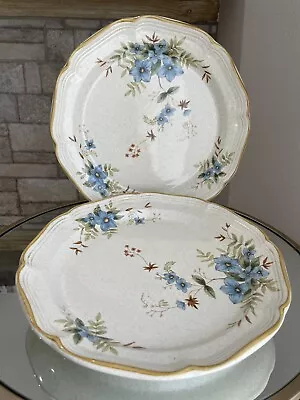 Mikasa Garden Club Day Dreams Ceramic EC461 Dinner Plates Set Of 2 • $28.99